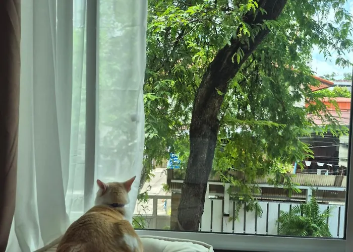 Cat House Bkk Alloggio in famiglia Bangkok